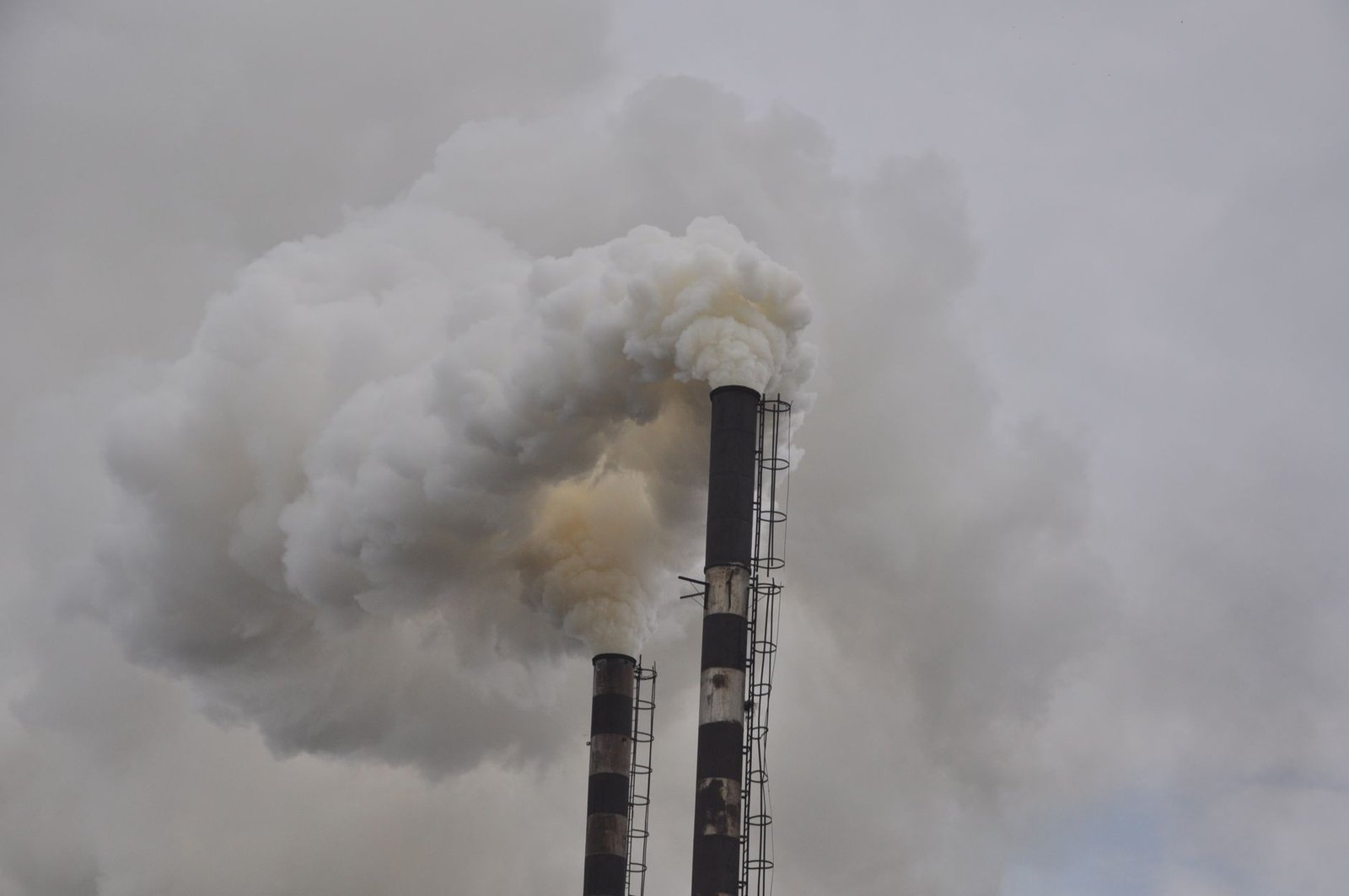 Air pollution and cardiovascular disease का नया कनेक्शन आया सामने
